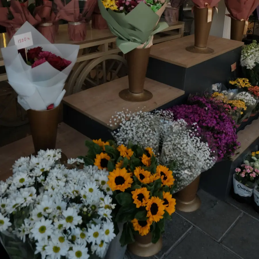 Orquídea en maceta