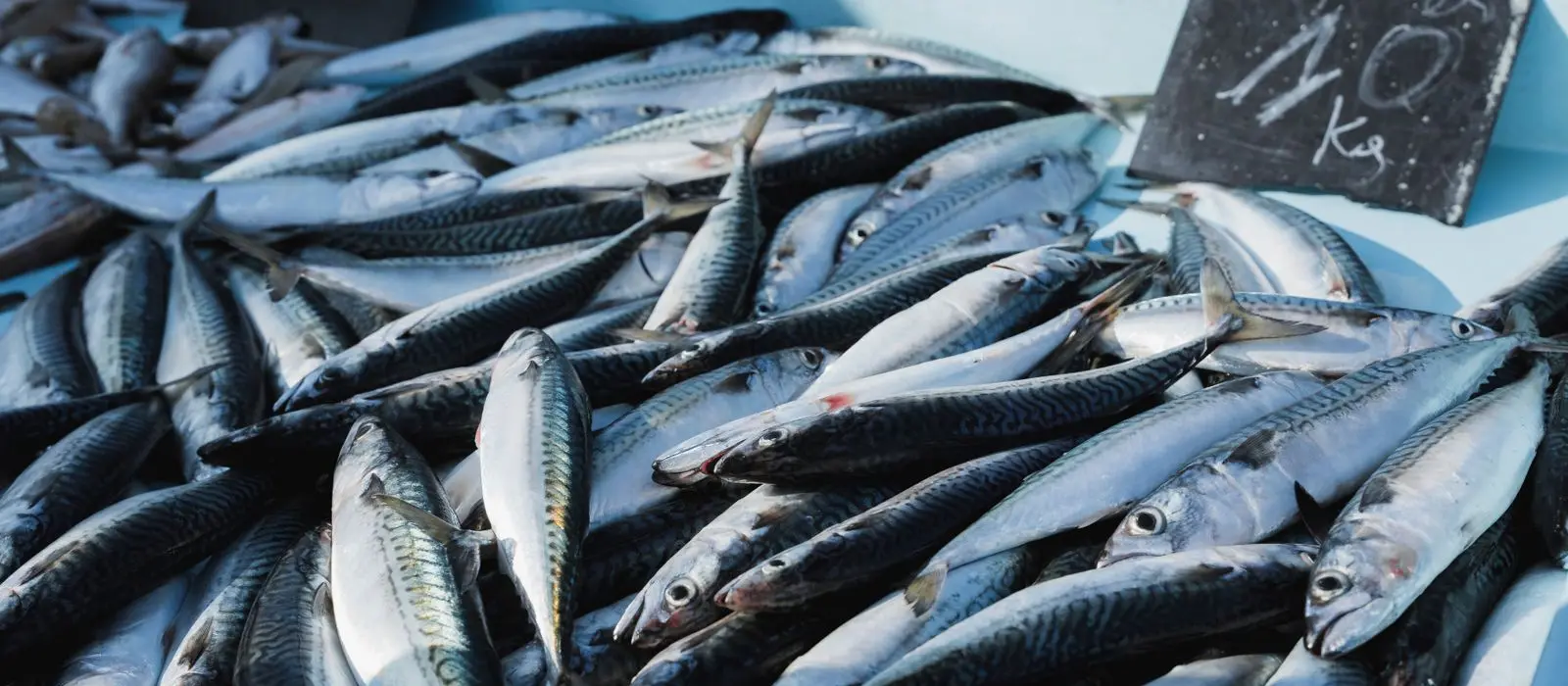 Pescados Ría de Arousa