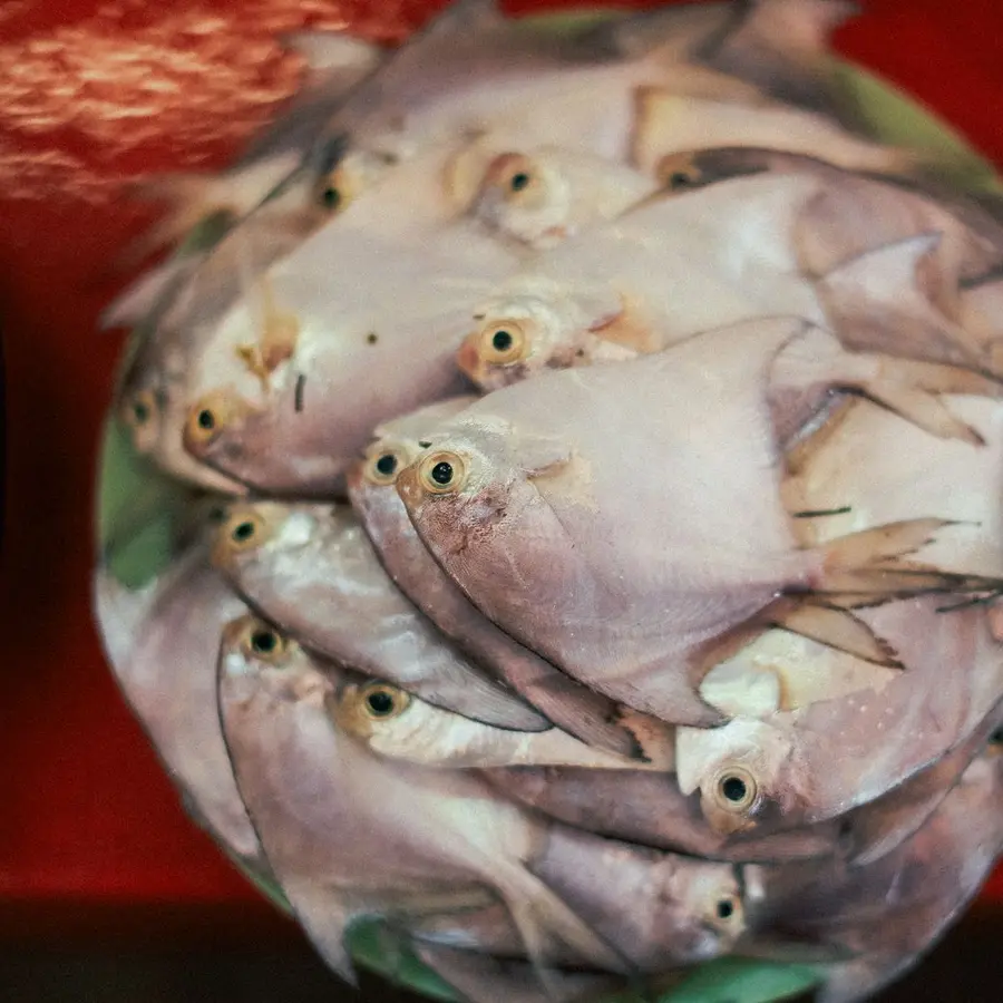 Sardina fresca (kg)