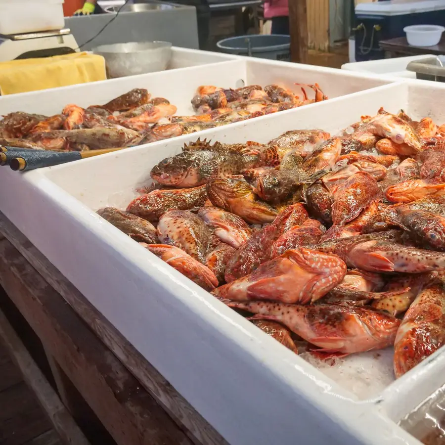 Rodaballo salvaje (kg)